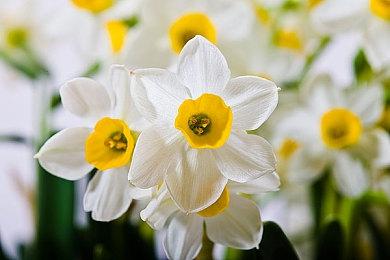 Roguelite动作游戏《The Infernal Mist》Steam页面开放 发售日待定